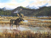 Moose