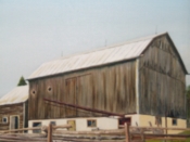 Mindon Barn