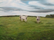 Irish Cow