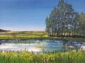 Gull Lake Pond