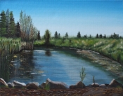 Saskatoon Farm